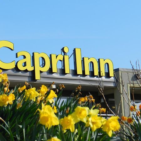 Capri Inn Sainte-Catherine Екстериор снимка